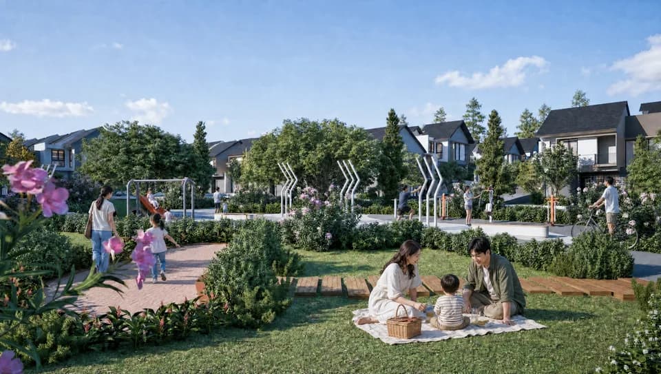 Garden courtyard between two housing rows with lawn, feature trees and a paved walkway, afternoon.